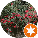 Briliana Divani profile picture